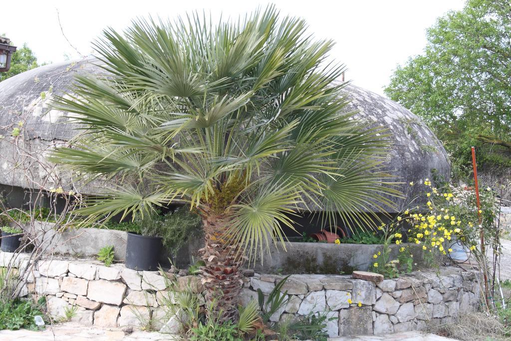 Villa La Scaletta Alghero Pokoj fotografie